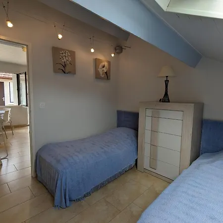 T2 Au Centre D'arcachon Avec Garage - A Proximite De La Et Des Commerces - Fr-1-420-88 * Arcachon