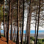 Appartement T2 Au Centre D'arcachon Avec Garage - à Proximité De La Et Des Commerces - Fr-1-420-88