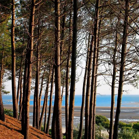 Apartment T2 Au Centre D'arcachon Avec Garage - A Proximite De La Et Des Commerces - Fr-1-420-88