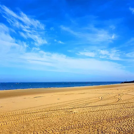 Appartement Arcachon, 2 Pièces, 4 Personnes - Fr-1-420-88 *