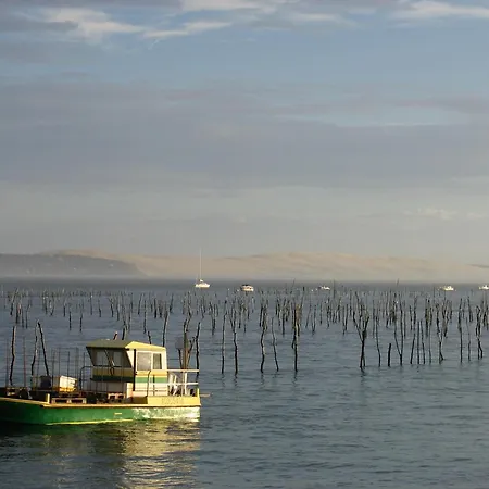 T2 Au Centre D'arcachon Avec Garage - A Proximite De La Et Des Commerces - Fr-1-420-88 *