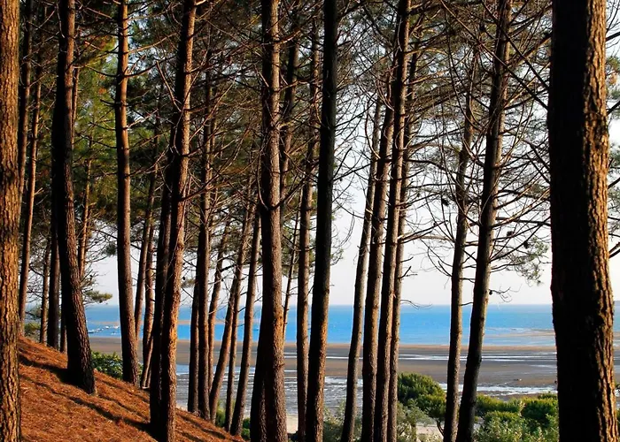 Apartment T2 Au Centre D'arcachon Avec Garage - A Proximite De La Et Des Commerces - Fr-1-420-88