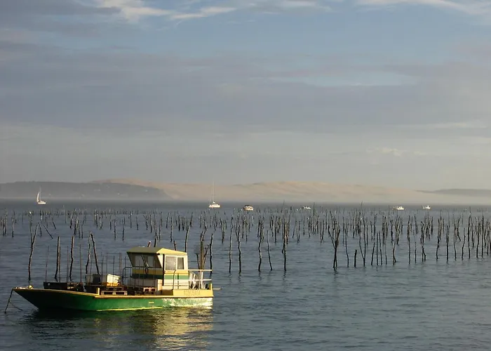 T2 Au Centre D'arcachon Avec Garage - A Proximite De La Et Des Commerces - Fr-1-420-88 *